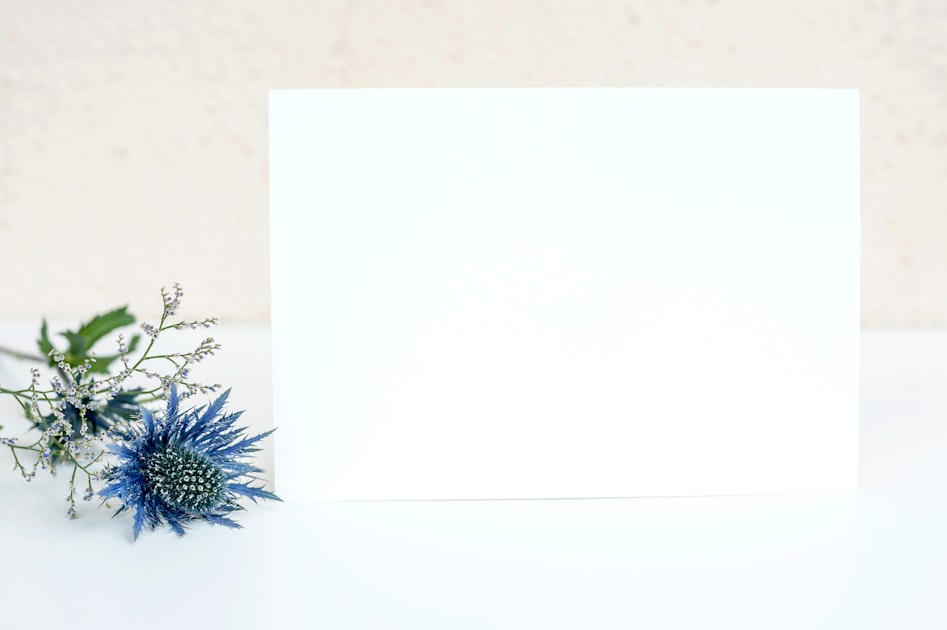 Launching Your Website: A Step-by-Step Guide
